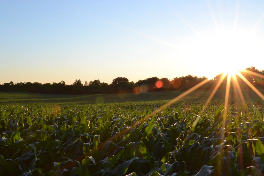 Regenerative Agriculture