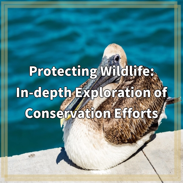 Protecting Wildlife: In-depth Exploration of Conservation Efforts