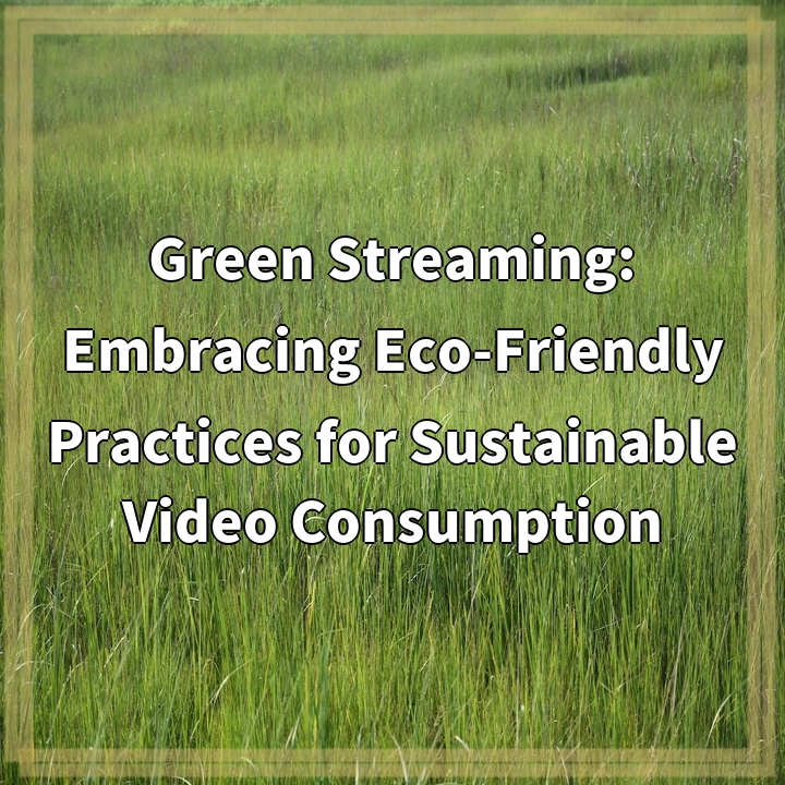 Green Streaming: Sustainable Video Consumption for a Greener Future