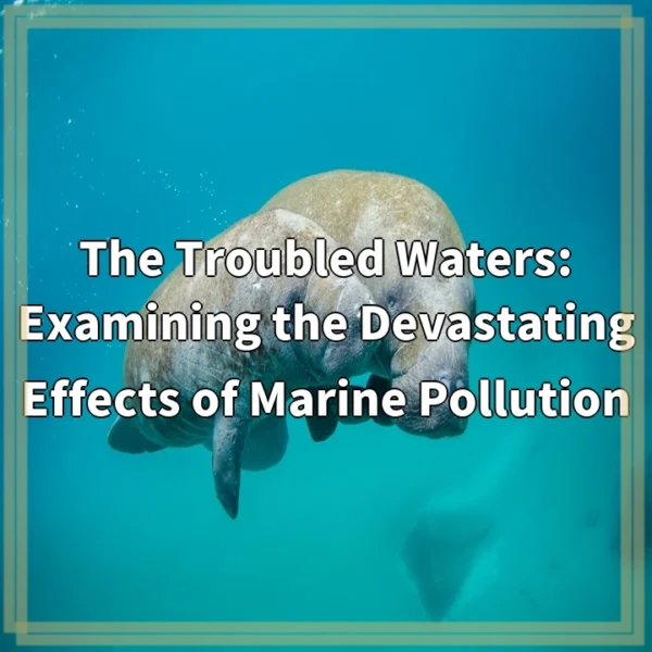 The Troubled Waters: Examining the Devastating Effects of Marine Pollution