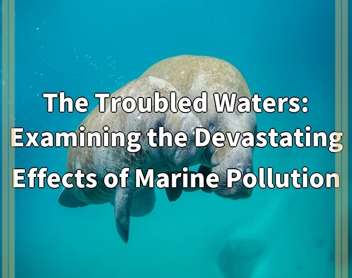 The Troubled Waters: Examining the Devastating Effects of Marine Pollution