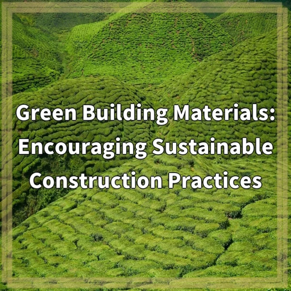 Green Building Materials: Encouraging Sustainable Construction Practices