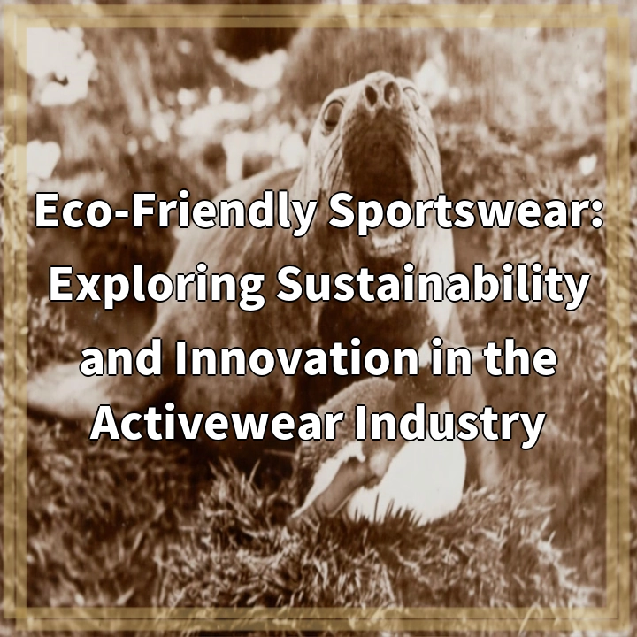 Eco-Friendly Sportswear: Exploring Sustainability and Innovation in the Activewear Industry