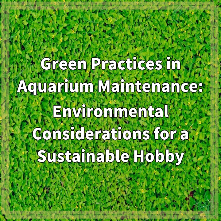 Green Practices in Aquarium Maintenance: Environmental Considerations for a Sustainable Hobby