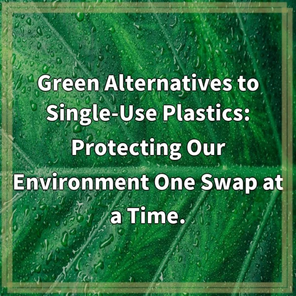 Green Alternatives to Single-Use Plastics: Protecting Our Environment One Swap at a Time.