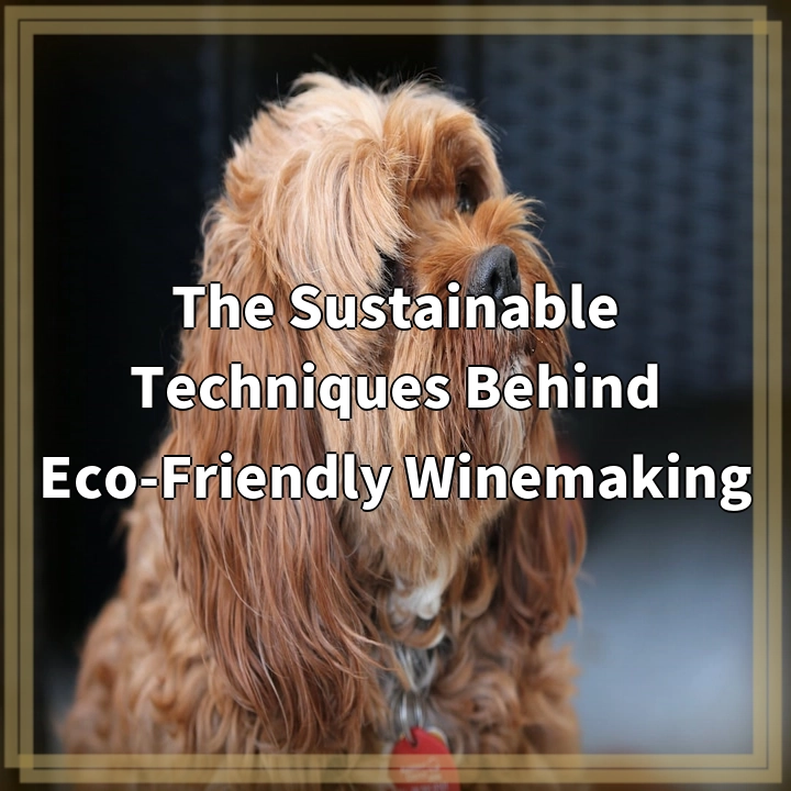 The Sustainable Techniques Behind Eco-Friendly Winemaking