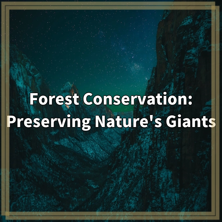 Forest Conservation: Preserving Nature’s Giants