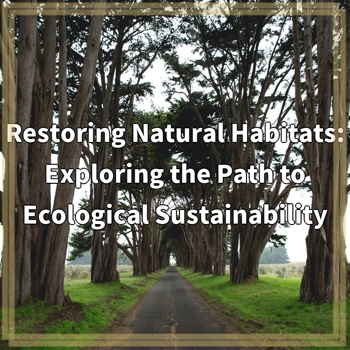 Restoring Natural Habitats: Exploring the Path to Ecological Sustainability