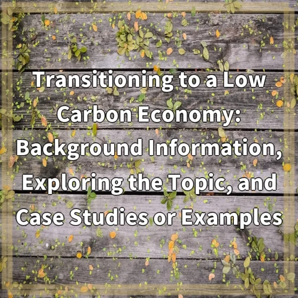 Transitioning to a Low Carbon Economy: Background Information, Exploring the Topic, and Case Studies or Examples