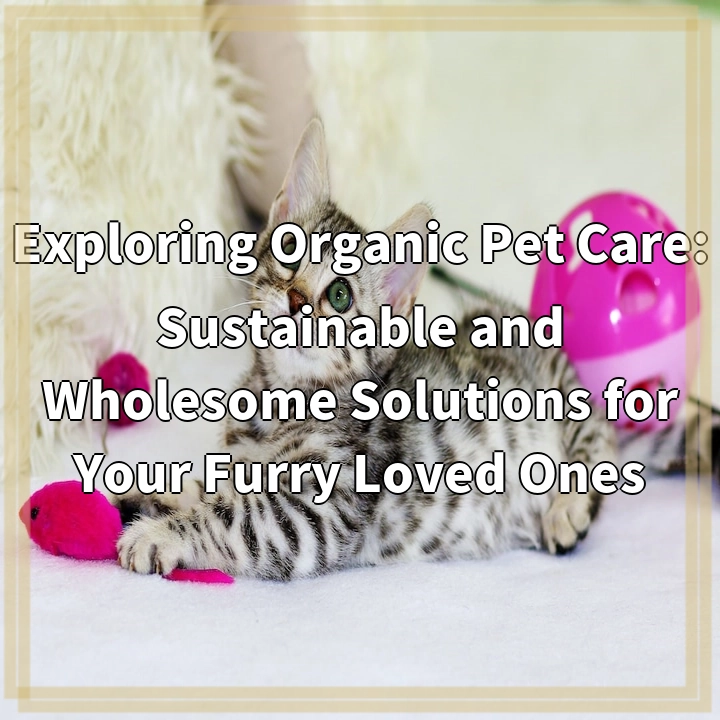 Exploring Organic Pet Care: Sustainable and Wholesome Solutions for Your Furry Loved Ones