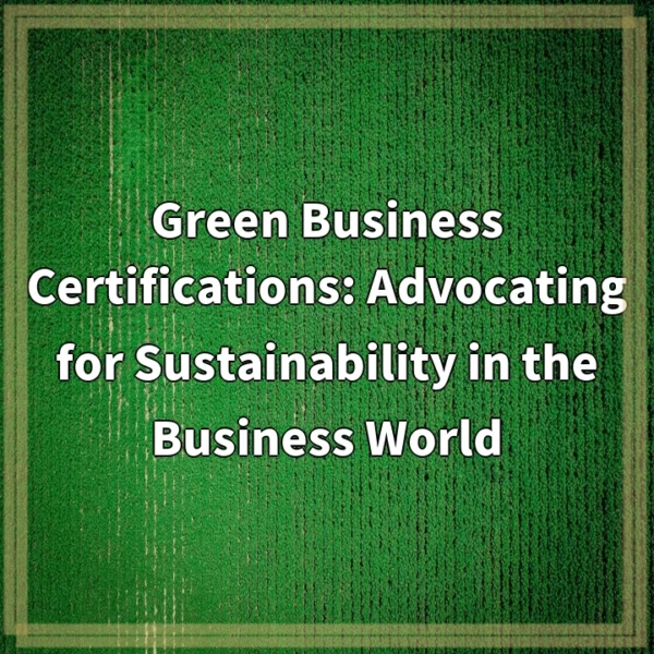 Green Business Certifications: Advocating for Sustainability in the Business World