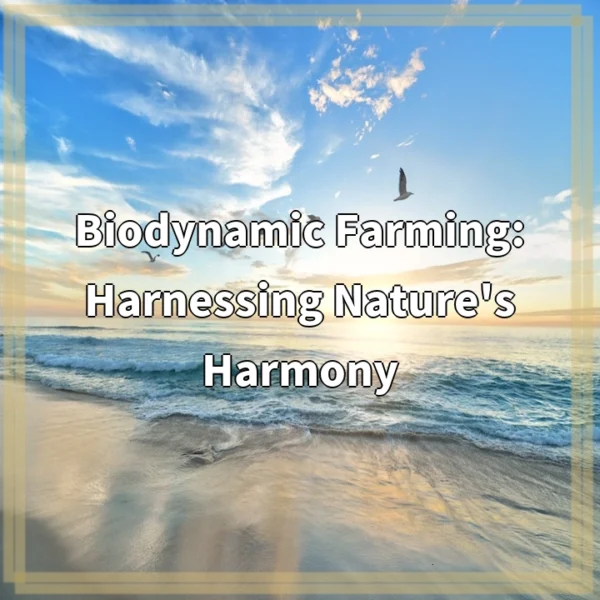 Biodynamic Farming: Harnessing Nature’s Harmony