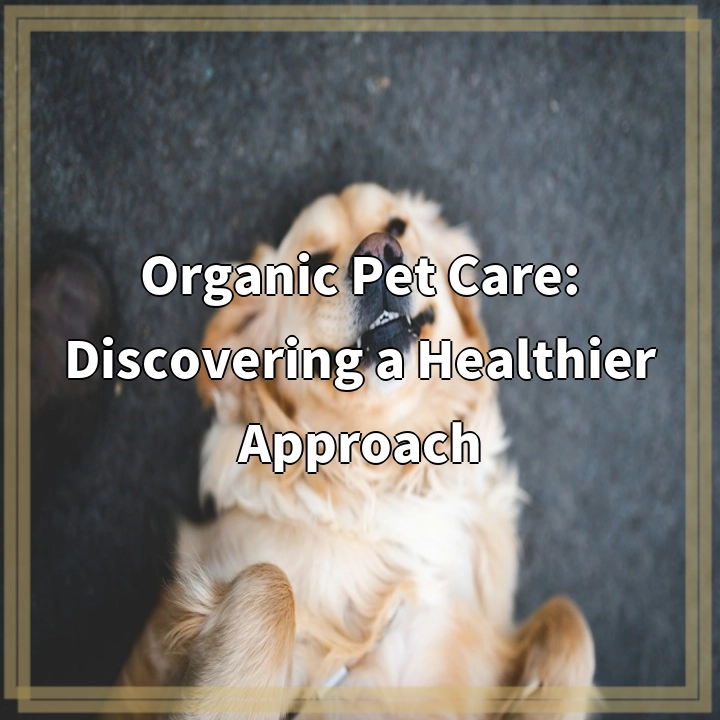 Organic Pet Care: Discovering a Healthier Approach