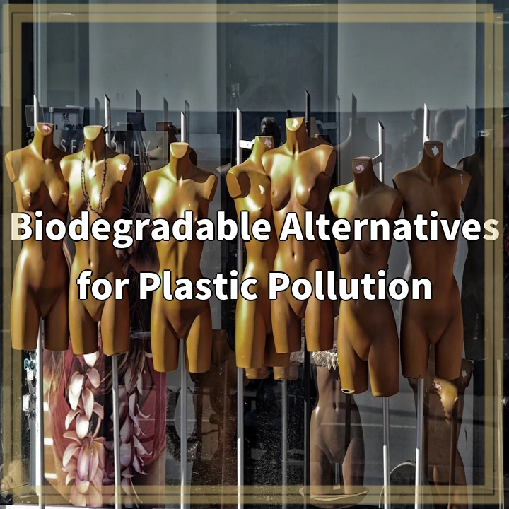 Biodegradable Alternatives for Plastic Pollution