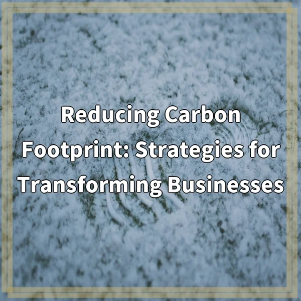 Reducing Carbon Footprint: Strategies for Transforming Businesses