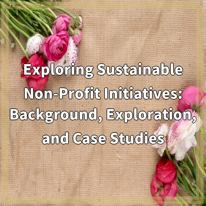 Exploring Sustainable Non-Profit Initiatives: Background, Exploration, and Case Studies