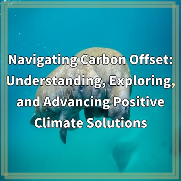 Navigating Carbon Offset: Understanding, Exploring, and Advancing Positive Climate Solutions