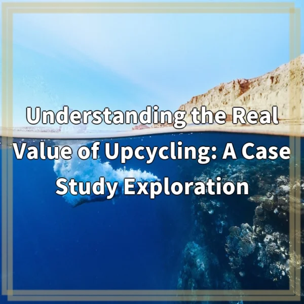 Understanding the Real Value of Upcycling: A Case Study Exploration