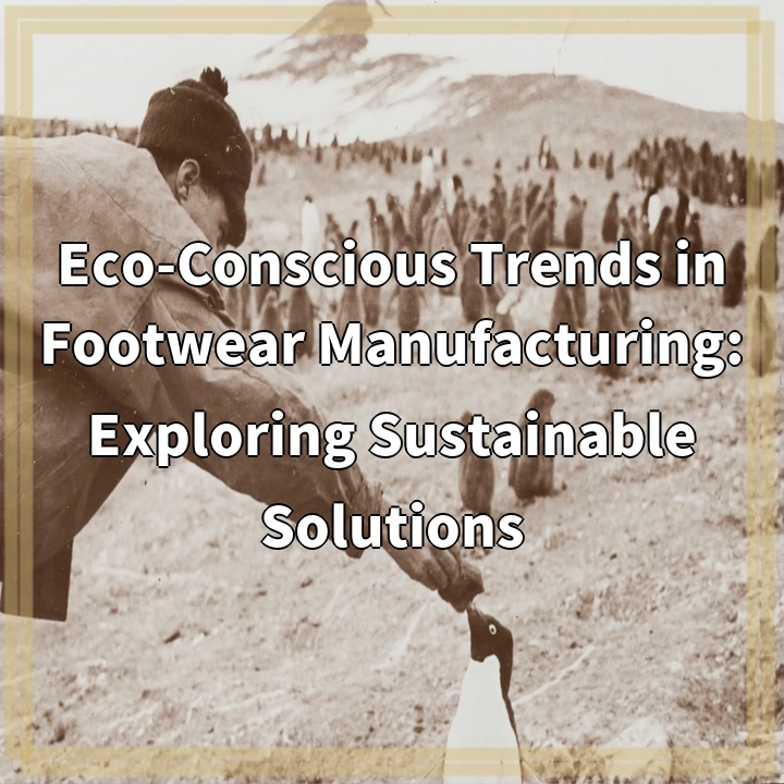 Eco-Conscious Trends in Footwear Manufacturing