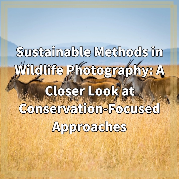 Sustainable Methods in Wildlife Photography: A Closer Look at Conservation-Focused Approaches