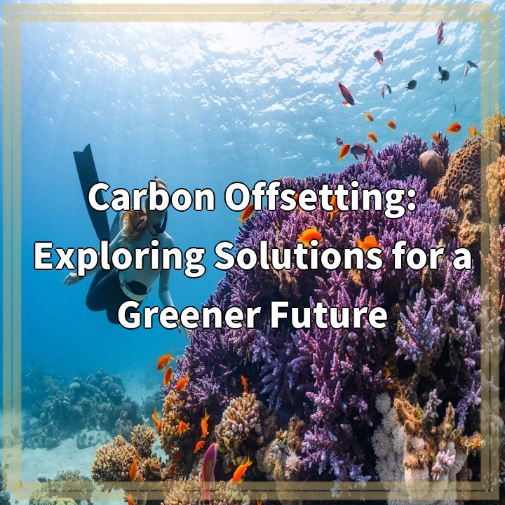 Carbon Offsetting: Exploring Solutions for a Greener Future