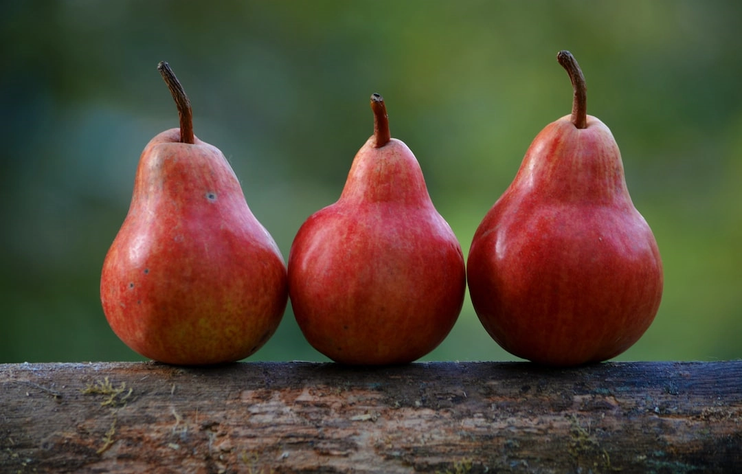 Sustainable Food Preservation Techniques