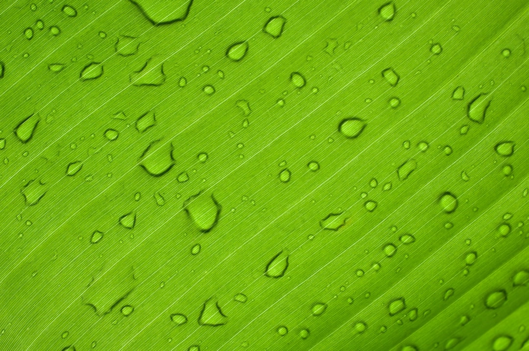 Green Practices in Bakery Operations