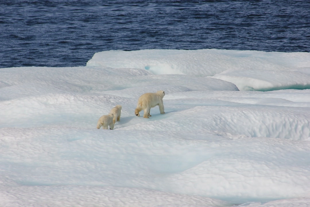 Climate-Resilient Infrastructure