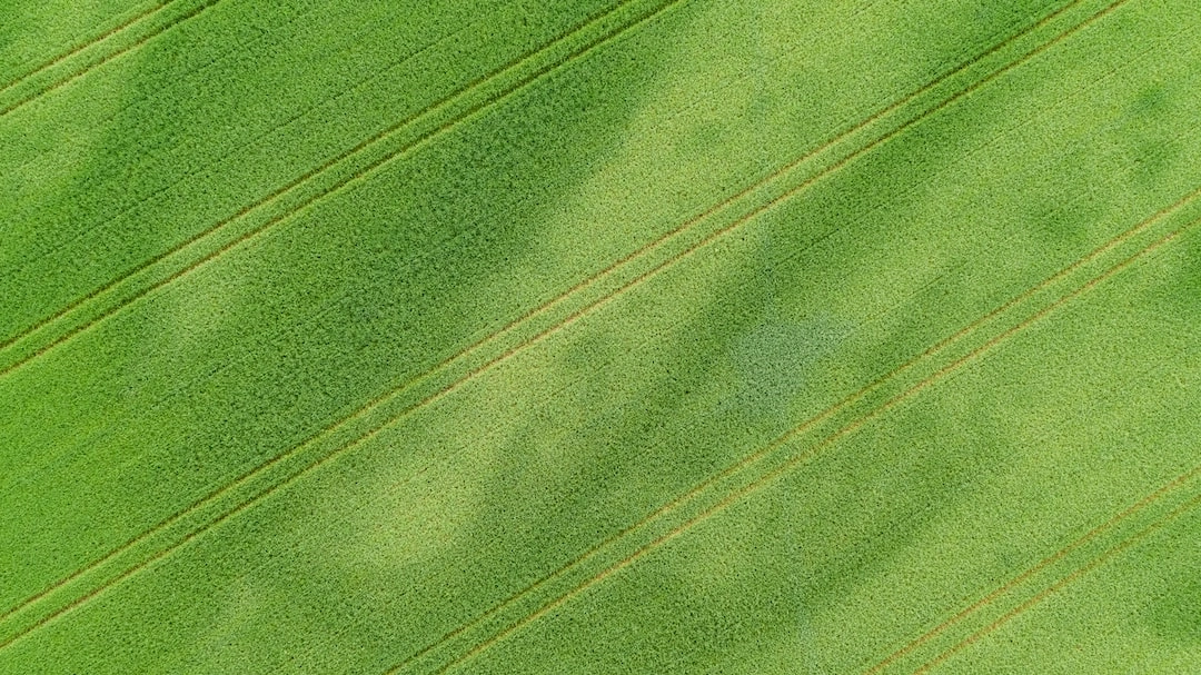 Green Practices in Archaeology