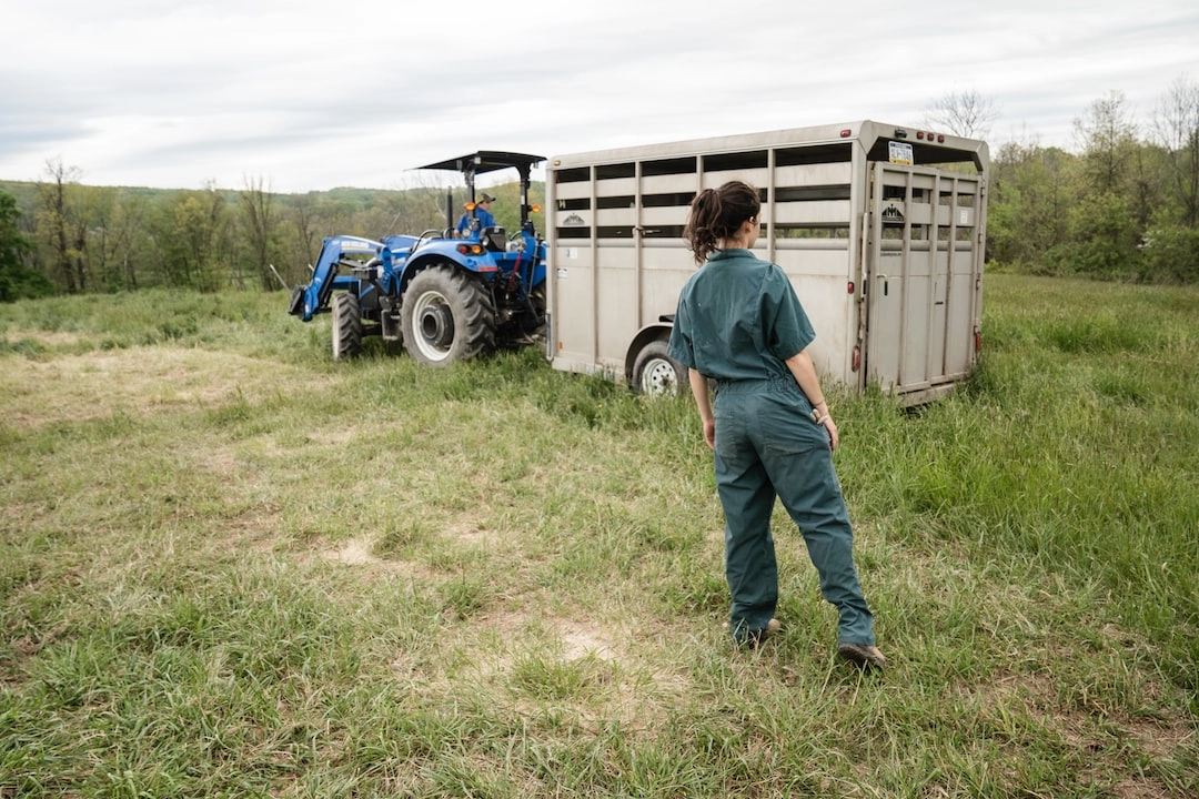 Regenerative Agriculture