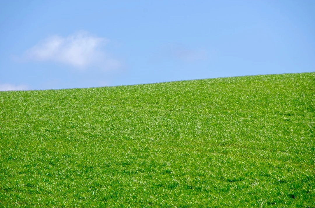 Green Practices in Coffee Production