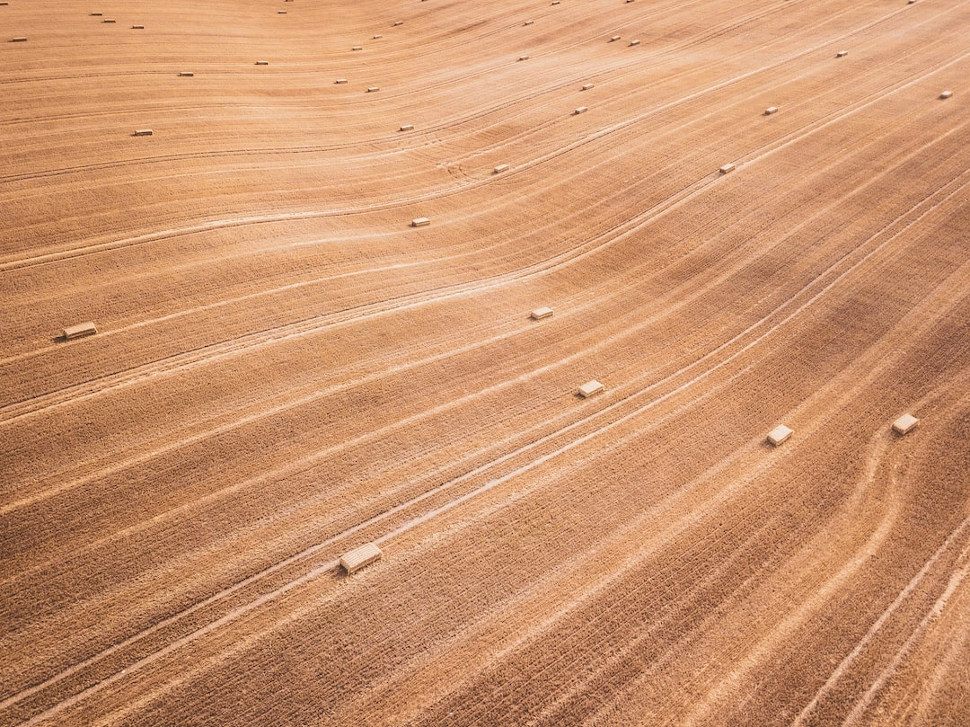 Regenerative Agriculture Techniques