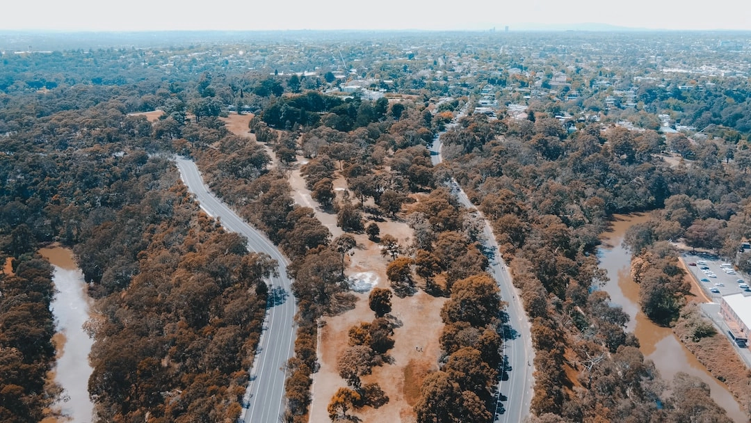 Green Landscaping for Urban Environments