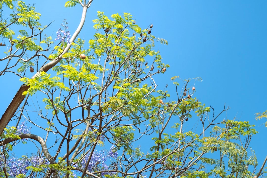 Natural Habitat Restoration