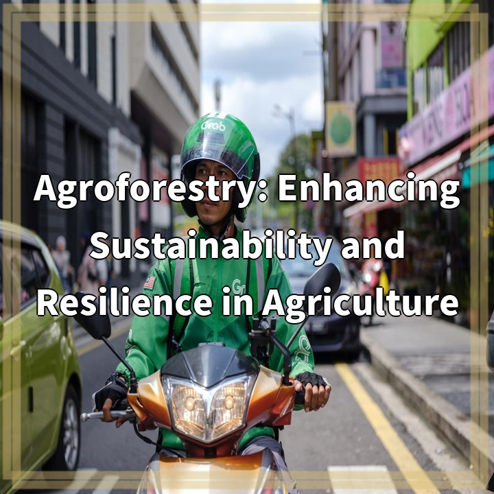 Agroforestry: Enhancing Sustainability and Resilience in Agriculture