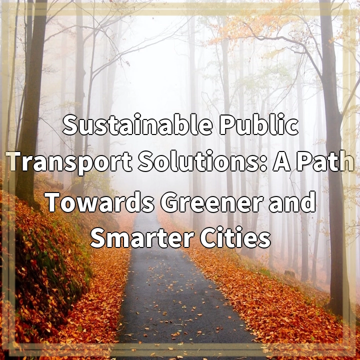 Sustainable Public Transport Solutions