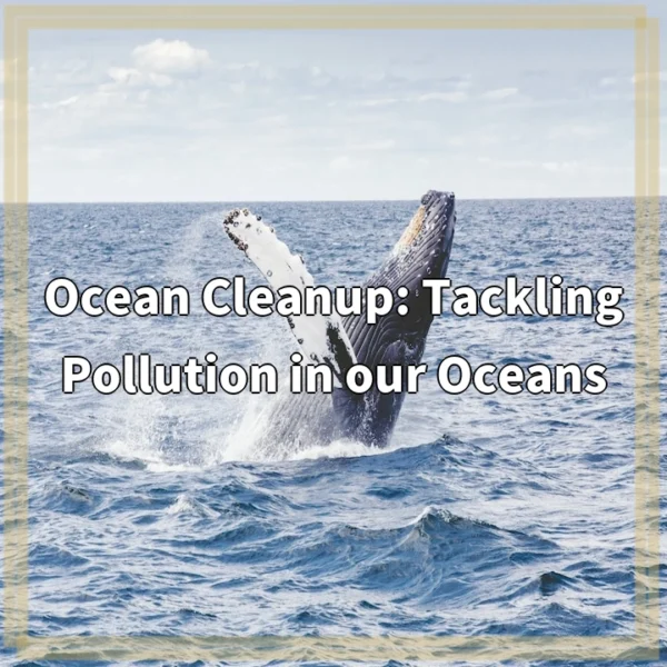 Ocean Cleanup: Tackling Pollution in our Oceans