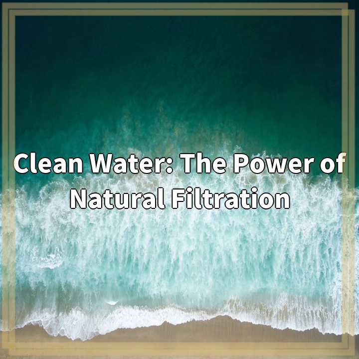 The Power of Natural Water Filtration: Overcoming Challenges for Clean Water