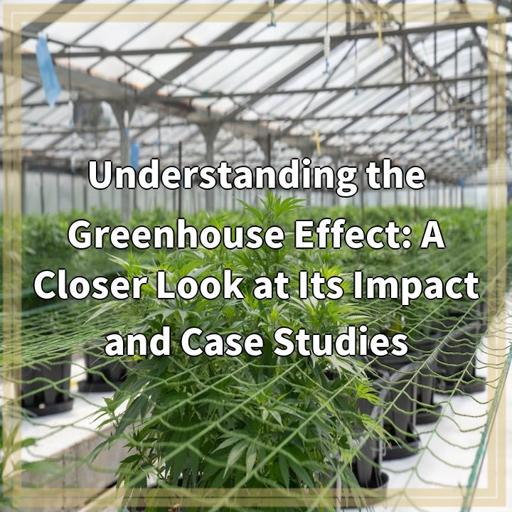 Understanding the Greenhouse Effect: A Closer Look at Its Impact and Case Studies