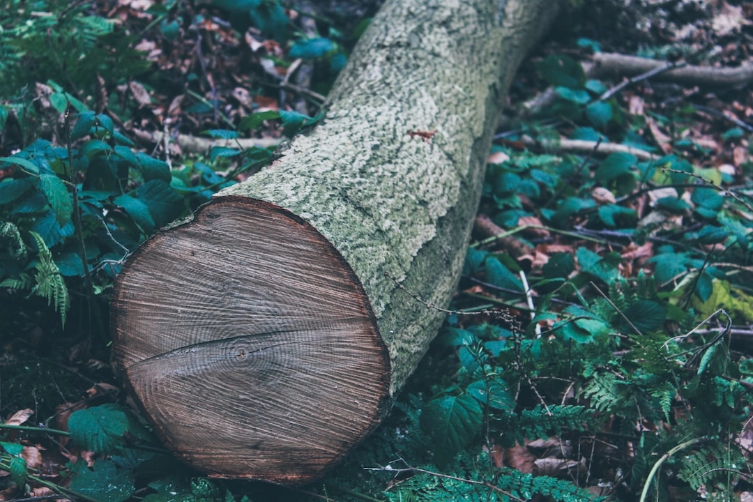 Environmentally Responsible Printing Techniques