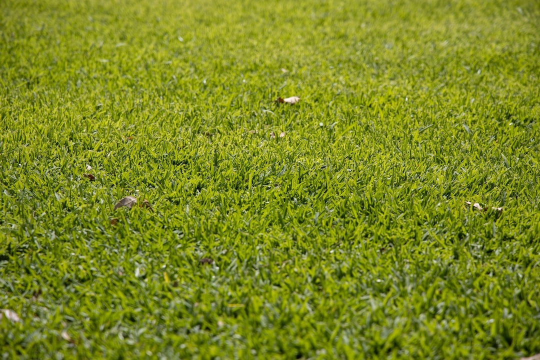 Green Practices in Coffee Production