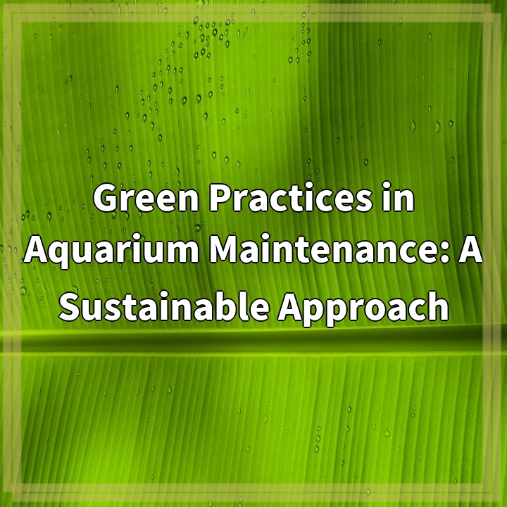 Green Practices in Aquarium Maintenance