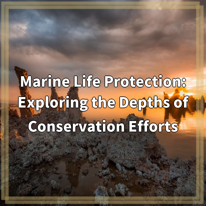 Marine Life Protection: Exploring the Depths of Conservation Efforts