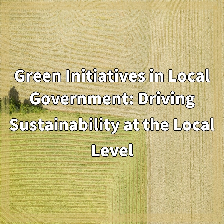 Green Initiatives in Local Government: Driving Sustainability at the Local Level