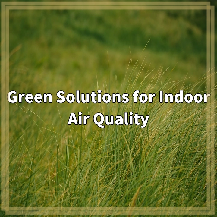 Breathing Easy: Green Solutions for Cleaner Indoor Air