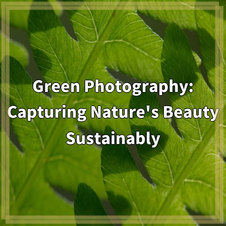 Green Photography: Capturing Nature’s Beauty Sustainably