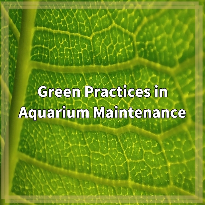 Green Practices in Aquarium Maintenance