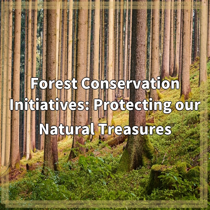 Forest Conservation Initiatives: Protecting our Natural Treasures