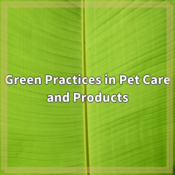 Green Practices in Pet Care and Products