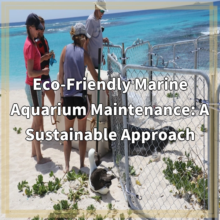 Sustainable Marine Aquarium Maintenance: Protecting Marine Life